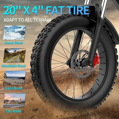 Ridstar Q20 1000W 48V 20'' Fat Tyre 20A Battery All Terrain Off-Road Electric Bike