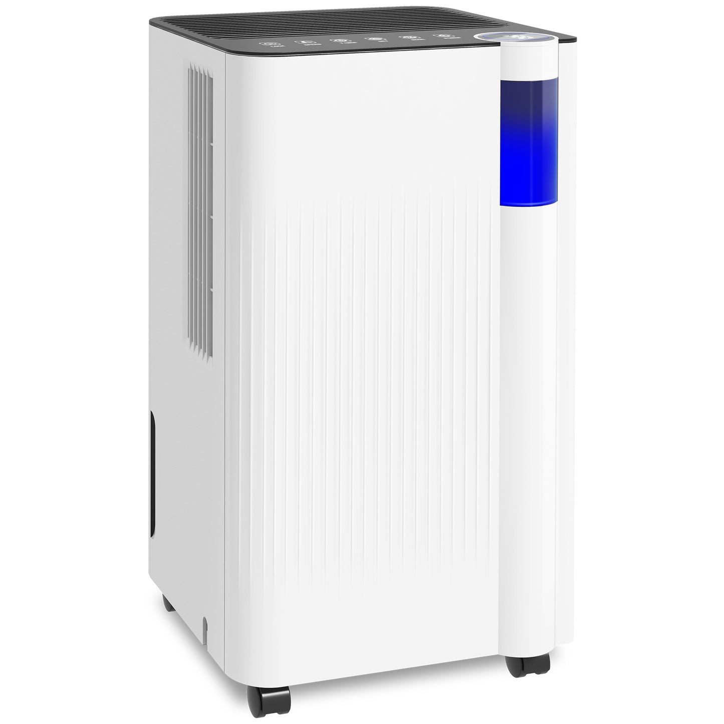 12L/Day Dehumidifier with Continuous Drainage, 2L Water Tank, 24H Timer, Digital Humidity Display, Filter, for Home Damp, Bedroom, Laundry Drying