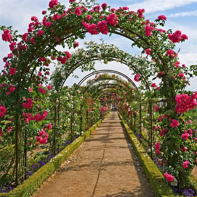 Heavy Duty Metal Garden Arch Rose Archway Pergola Arbour Climbing Plants Trellis Outdoor Garden Patio Pergola Support