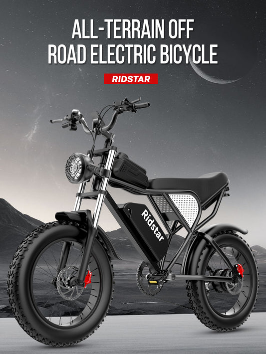 Ridstar Q20 1000W 48V 20'' Fat Tyre 20A Battery All Terrain Off-Road Electric Bike