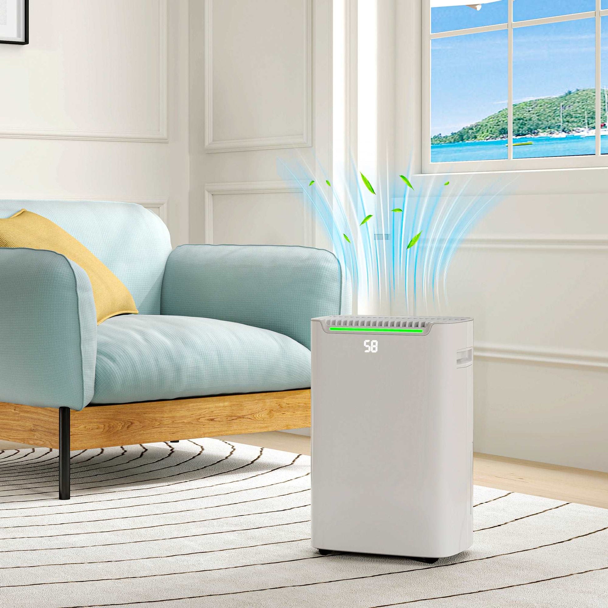 20L/Day Dehumidifier W/ Continuous Drainage, 2.5L Water Tank, 24H Timer On/off, Digital Humidity Display, Air Filter, Laundry Drying