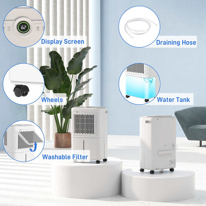 12L/Day Dehumidifier for Home Damp, Bedroom, Condensation, Mould, Laundry Drying